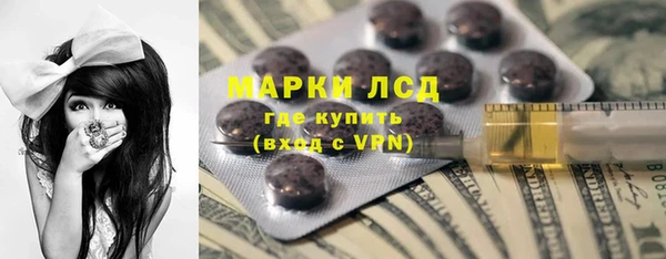 индика Володарск