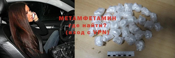 индика Володарск