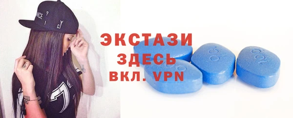 индика Володарск