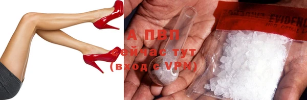 индика Володарск