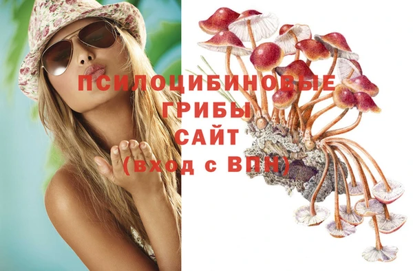 a pvp Волосово