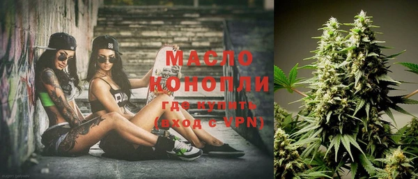 индика Володарск