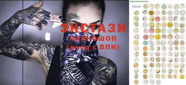 индика Володарск