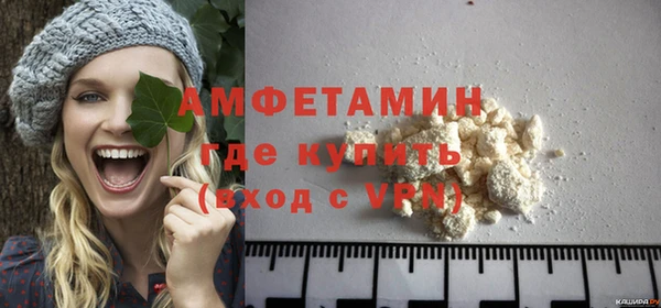 индика Володарск