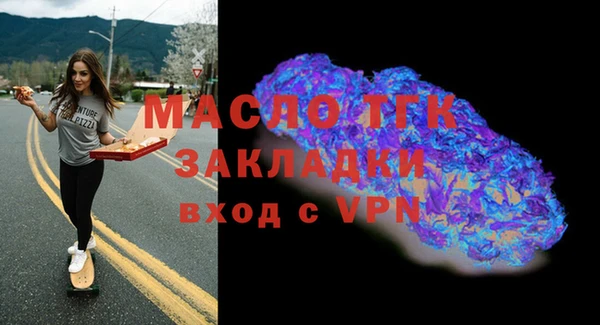 индика Володарск