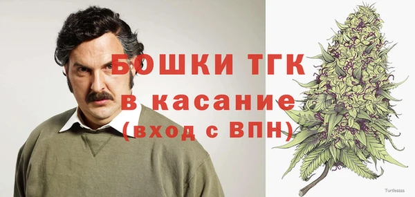 прущие грибы Баксан