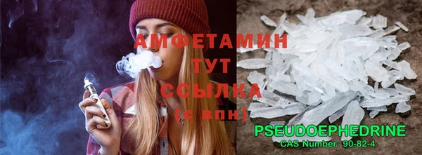 индика Володарск