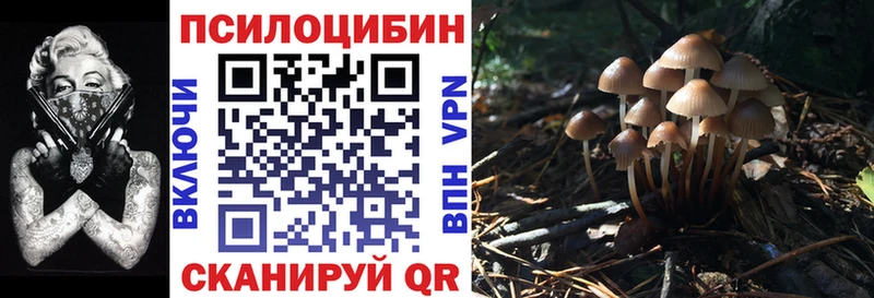 Псилоцибиновые грибы Psilocybine cubensis  Кочубеевское 